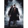 Fantastic Beasts The Crimes of Grindelwald (2018)