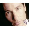 David Duchovny Autograph Signed Photograph