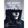 Mr. Robot