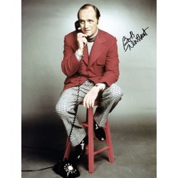The Bob Newhart Show