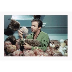 Star Trek TOS The Trouble...