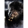 The Wolfman