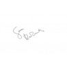 Gena Rowlands Autograph Signature Card