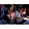Gremlins