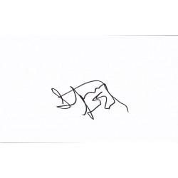 Steven Seagal Autograph...