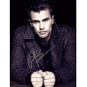Theo James Signature Autographed Photo