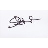 Scott Grimes Autograph Signature Card