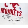 12 Monkeys