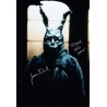 Donnie Darko