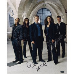 CSI NY