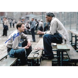 The Shawshank Redemption
