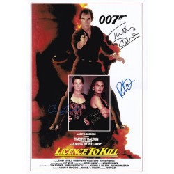 Licence to Kill