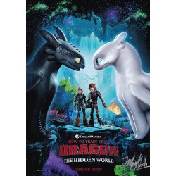 How to Train Your Dragon The Hidden World