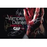 The Vampire Diaries