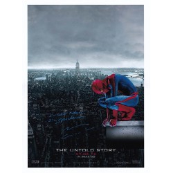 The Amazing Spider Man