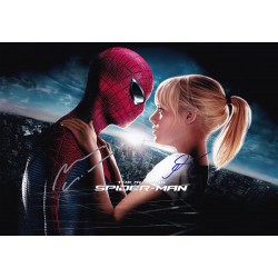 The Amazing Spider Man