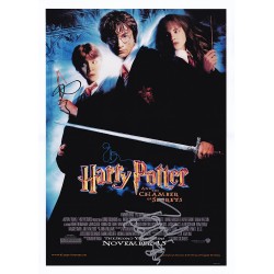 Harry Potter and the...