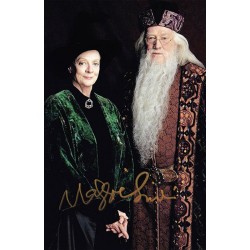 Harry Potter and the...