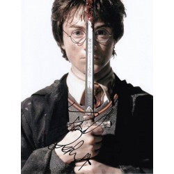 Harry Potter and the...