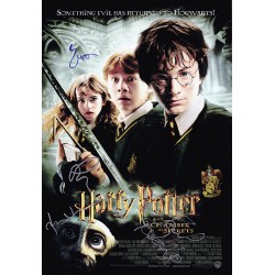 Harry Potter and the...