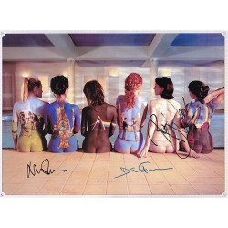 Back Catalogue Poster Pink...