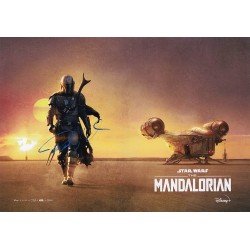 The Mandalorian