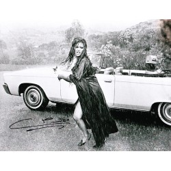 Don't Make Waves (1967)