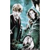Harry Potter and the Order of the Phoenix