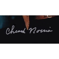 Walker, Texas Ranger