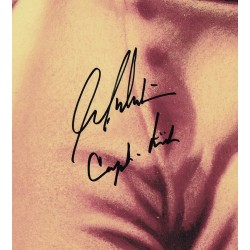 Star Trek TOS The Original Series