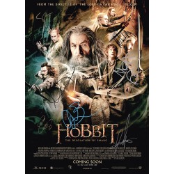 The Hobbit The Desolation of Smaug