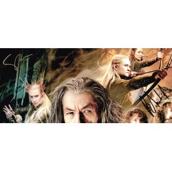 The Hobbit The Desolation of Smaug