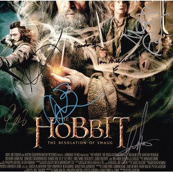 The Hobbit The Desolation of Smaug