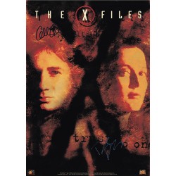 The X-Files