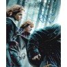 Harry Potter and the Deathly Hallows Part 1