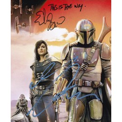 The Mandalorian