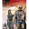 The Mandalorian