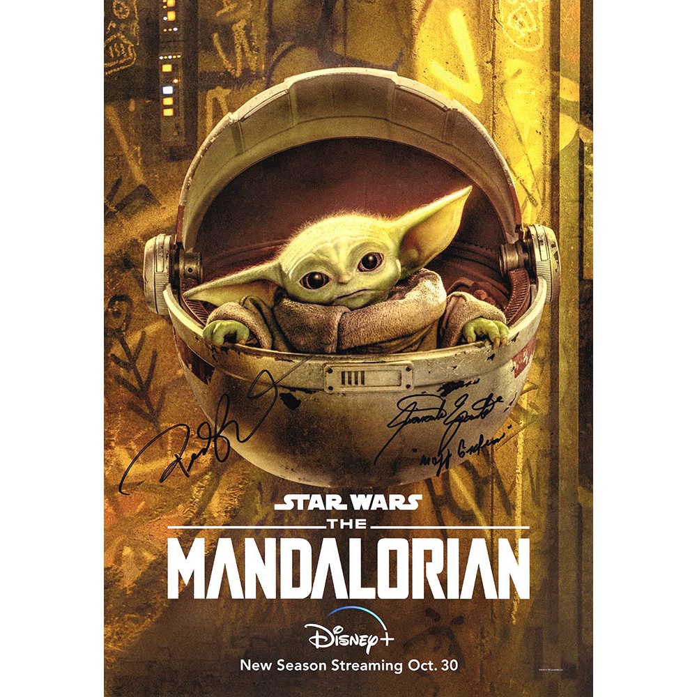 The Mandalorian