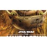 The Mandalorian