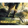 The Mandalorian