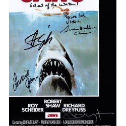 Jaws