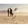Fallout