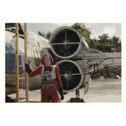 Star Wars The Mandalorian and Grogu