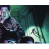 What We Do in the Shadows