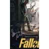 Fallout