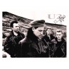 U2 Autographed Poster