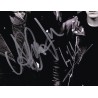 U2 Autographed Poster