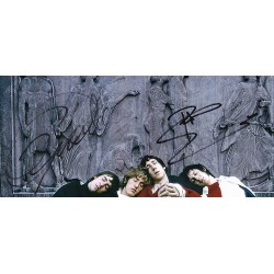 The Who