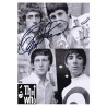 The Who