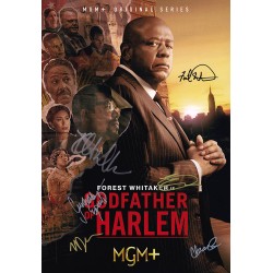 Godfather of Harlem